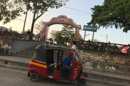 El negocio de tener una caponera en Nicaragua