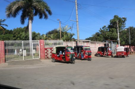 Las caponeras en Nicaragua un negocio muy rentable