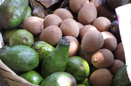 Donde comprar deliciosas frutas en Managua