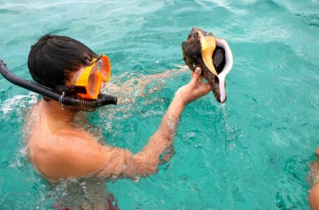 Lugares para practicar Snorkel y Buceo en Nicaragua