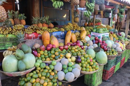 El consumo de frutas para vitaminarse